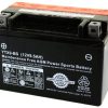 Universal Parts 12V 8.5AH Battery YTX9-BS