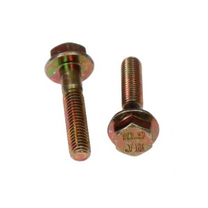 Universal Parts M6-1.00 x 30 Bolt - Set of 2