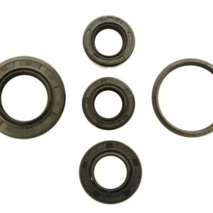 compatible with  Dio SR Seal Kit