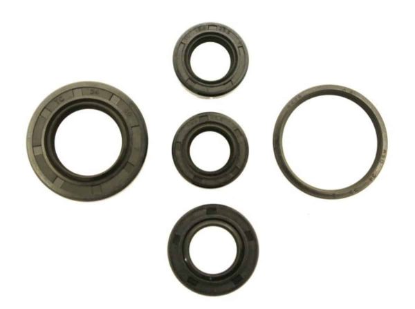 compatible with  Dio SR Seal Kit