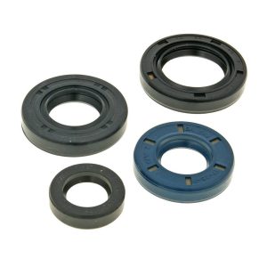 Naraku Seal Kit for 2-Stroke PGO Engines