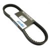 Polini Drive Belt compatible with  PCX 125/150 836-22-30