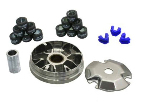 Polini Variator Kit for 94-01 compatible with  Elite 50