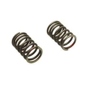 Universal Parts Outer Valve Springs - Set of 2