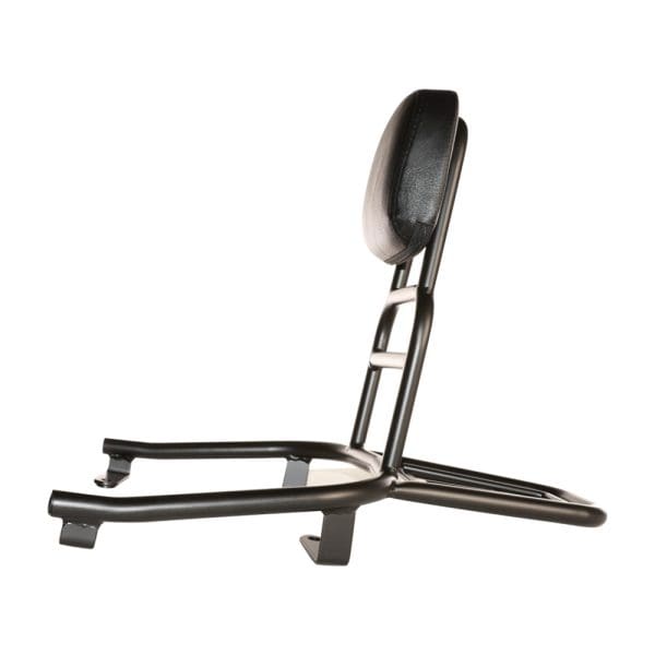 Prima Rear Rack (Black, Backrest); NIU NQi - Image 3