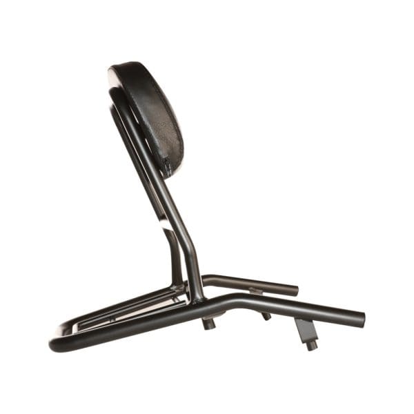 Prima Rear Rack (Black, Backrest); Lance Cabo, PCH - Image 2