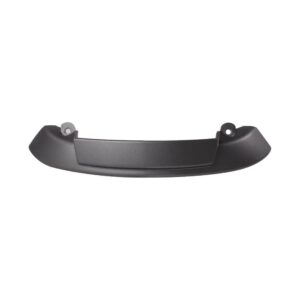 Rear Panel; CSC go, Other 139QMB Scooters