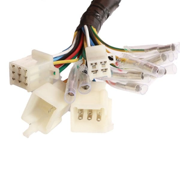 Main Wiring Harness; CSC Bella - Image 2