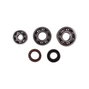 Engine Case Oil Seal And Bearing Kit; CSC go., 139QMB Scooters