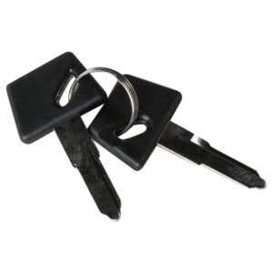 Spare Key Set For Ignition; CSC go., Go Max, Genuine Venture