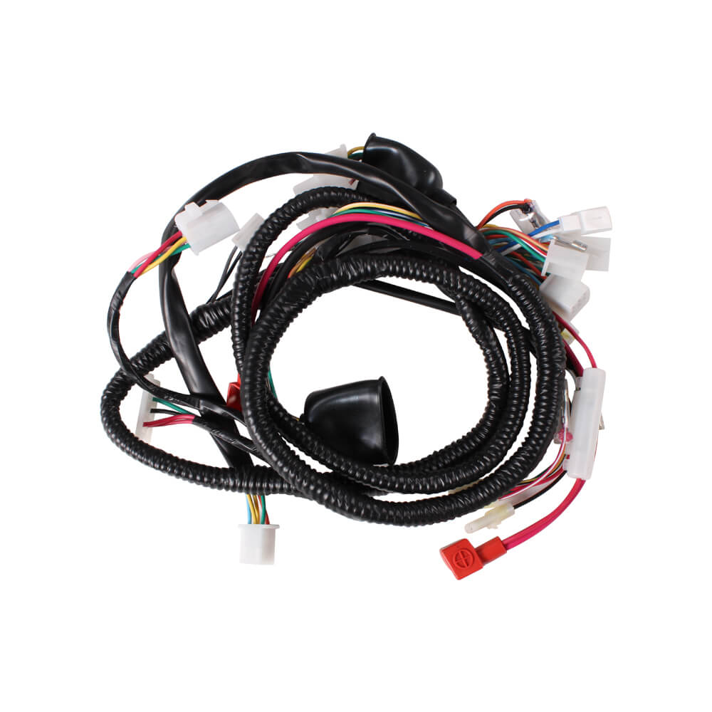 Wire Harness Assy; CSC go., 139QMB Scooters