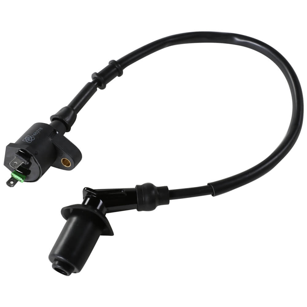 Ignition Coil & Wire Assembly (Metal Boot); 139QMB