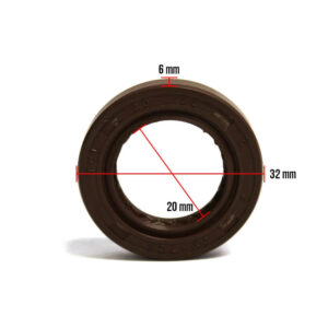 Transmission Oil Seal (20*32*6); GY6