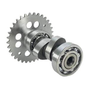 RDLN Performance Camshaft A10; GY6 150cc