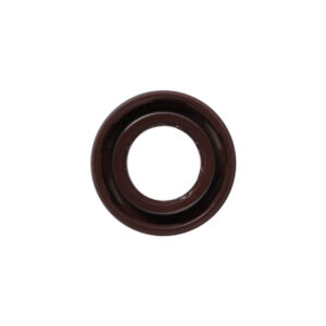 Right Crankcase Oil Seal (16.4×30×5); CSC go., 139QMB Scooters