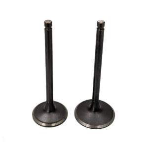 Universal Parts Valve Set for 250cc Scooters