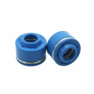 SSP-G Viton Valve Seals