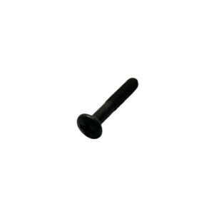 Screw (Starter Button); Stella
