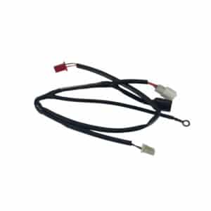 Wiring Harness - Deadlights Buddy 50, 125, 150, 170i