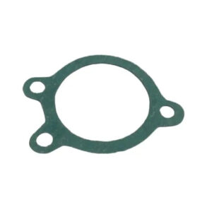 Gasket, Filter Housing