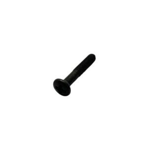Screw (Starter Button); Stella