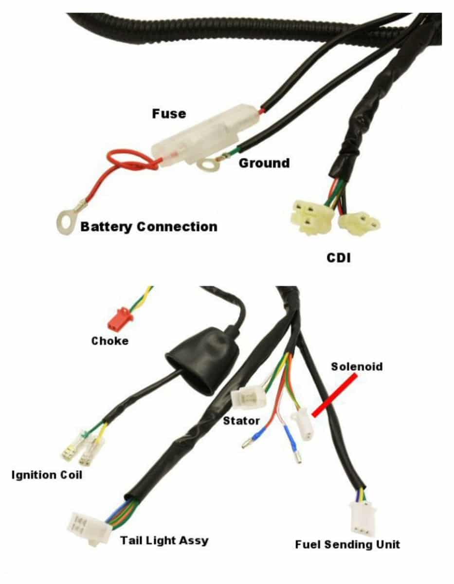 Wire Harness Assy; CSC go., 139QMB Scooters - Image 3