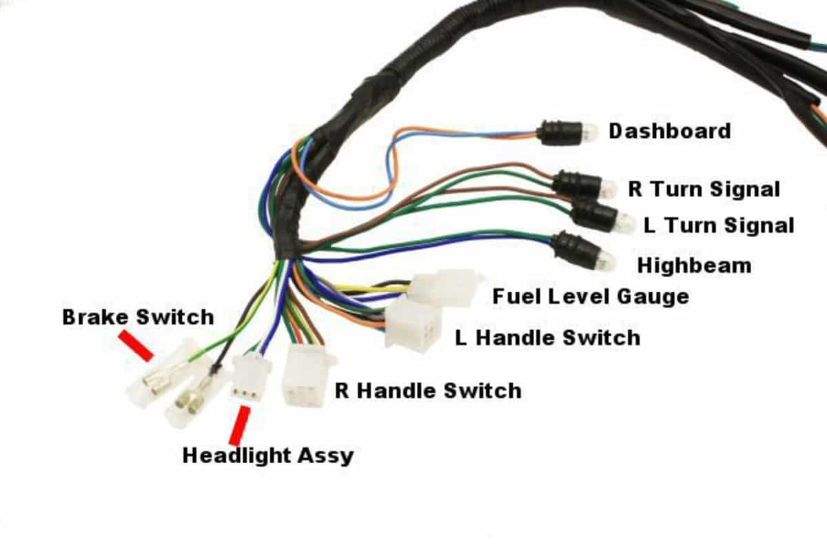 Wire Harness Assy; CSC go., 139QMB Scooters - Image 6