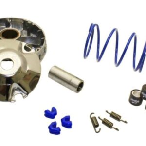 Polini Performance Variator Kit; Piaggio 4T 50cc