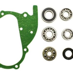 Transmission Bearing and Seal Kit; GY6 150