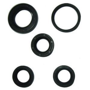 ScootsUSA Select - Oil Seal Kit GY6-125, GY6-150 Chinese ATVs, Go Karts, Scooters 20x32x6, 27x42x7, 34x41x4 , 19.8x30x5 (2pc)