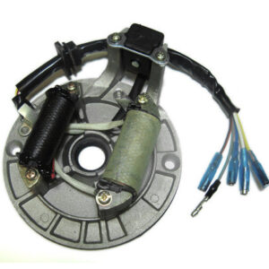 ScootsUSA Select - Stator 50-125cc 4 Stroke for Many Chinese ATVs, Dirt Bikes 2 Coils 5 Wires