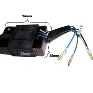 ScootsUSA Select - CDI Box 2 Stroke for E-Ton Impuls TXL50, TXL90, Lightning AXL50, Thunder AXL90, Viper RXL50, 70, 90, 150cc, Polaris, Alpha Sports, Dinli 2 Pin Jack, 1 FM Plug, Male Plugs 94x55x23