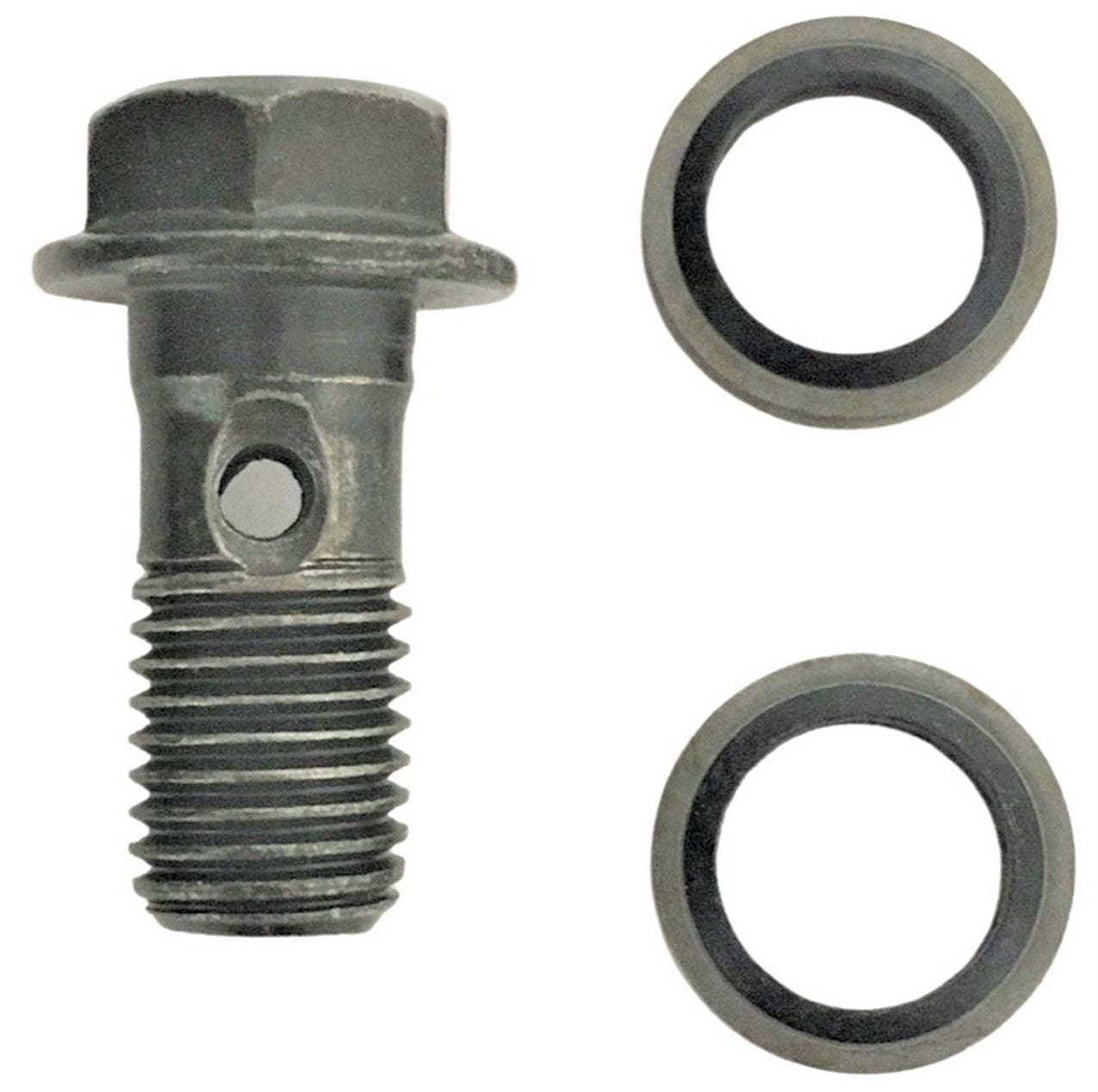 ScootsUSA Select - Banjo Bolt for Master Cylinder Thread 10mm
