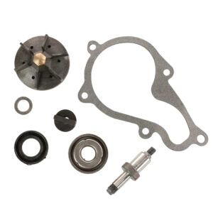 Magneti Marelli Water Pump Repair - Piaggio Beverly 350