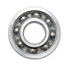 Universal Parts 6203RZ Bearing - Image 2
