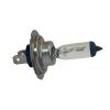 Universal Parts 12V 55W H7 Headlight Bulb Replacement