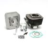 Malossi, Cylinder Kit; Kymco ZX50/ Honda DIO